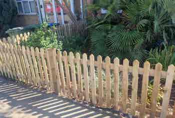 527098353_1197958008752538_531046012869512169