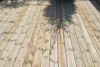 530804524_1187466250065482_778876378042560660